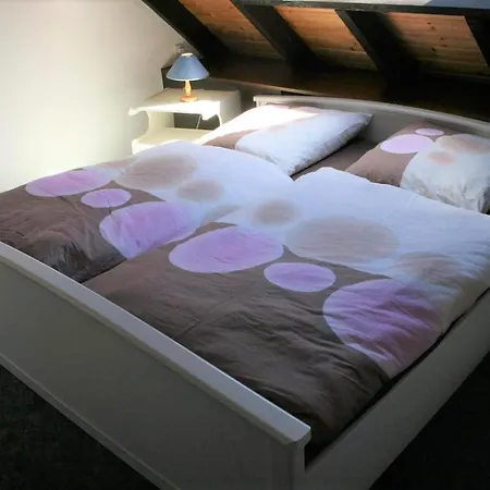 Haus Kinzigtal Molenstrasse 27 5 Prázdninový dům *