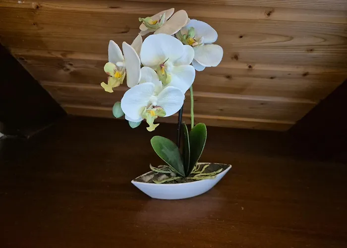 Haus Kinzigtal Molenstrasse 27 5 * نورديش